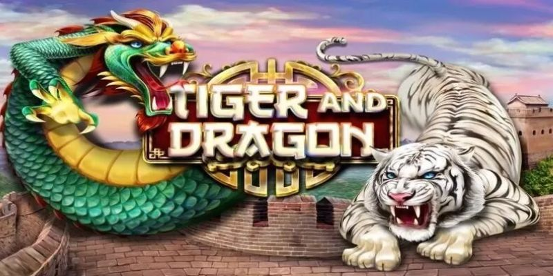 dragon tiger 88vin 680098943a548